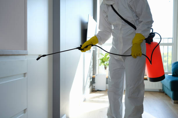 Why You Should Choose Our Mold Remediation Services in Lake Nacimiento, CA